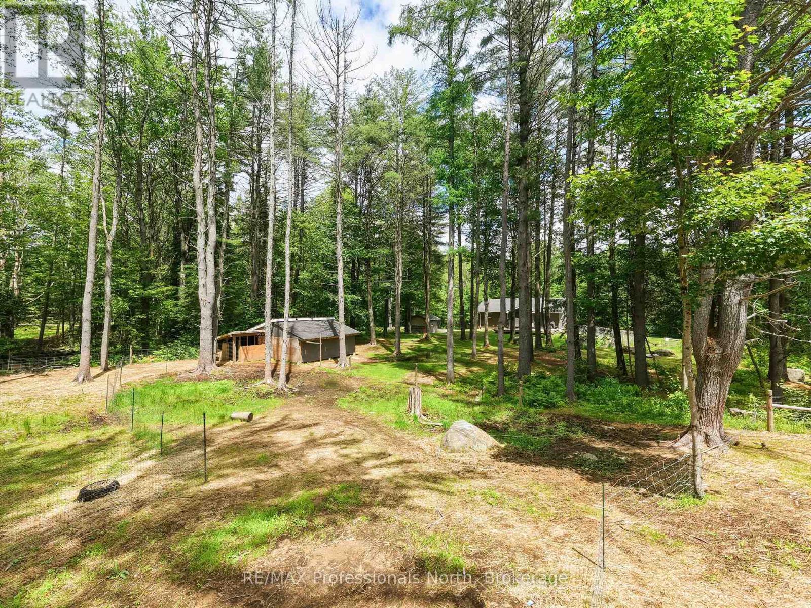 81 Watson Lane, Huntsville, Ontario  P0B 1M0 - Photo 34 - X13480268