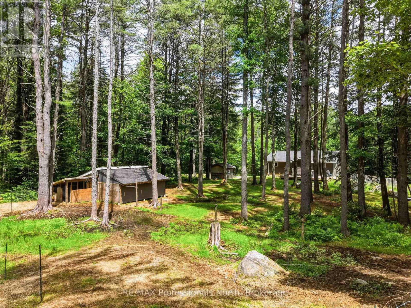 81 Watson Lane, Huntsville, Ontario  P0B 1M0 - Photo 38 - X13480268