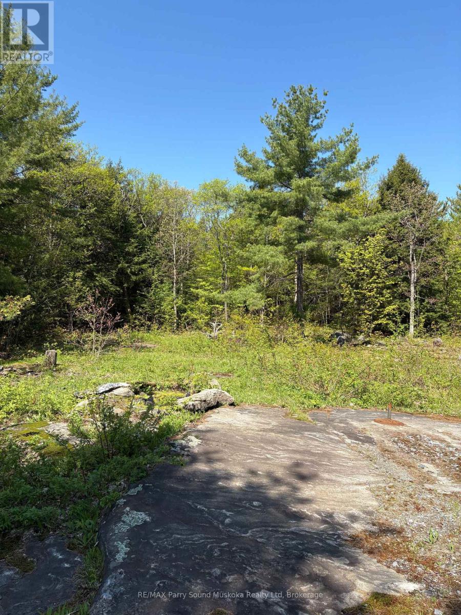 175 North Sandy Plains Road, Seguin, Ontario P2A 2W8 - Photo 1 - X13482340