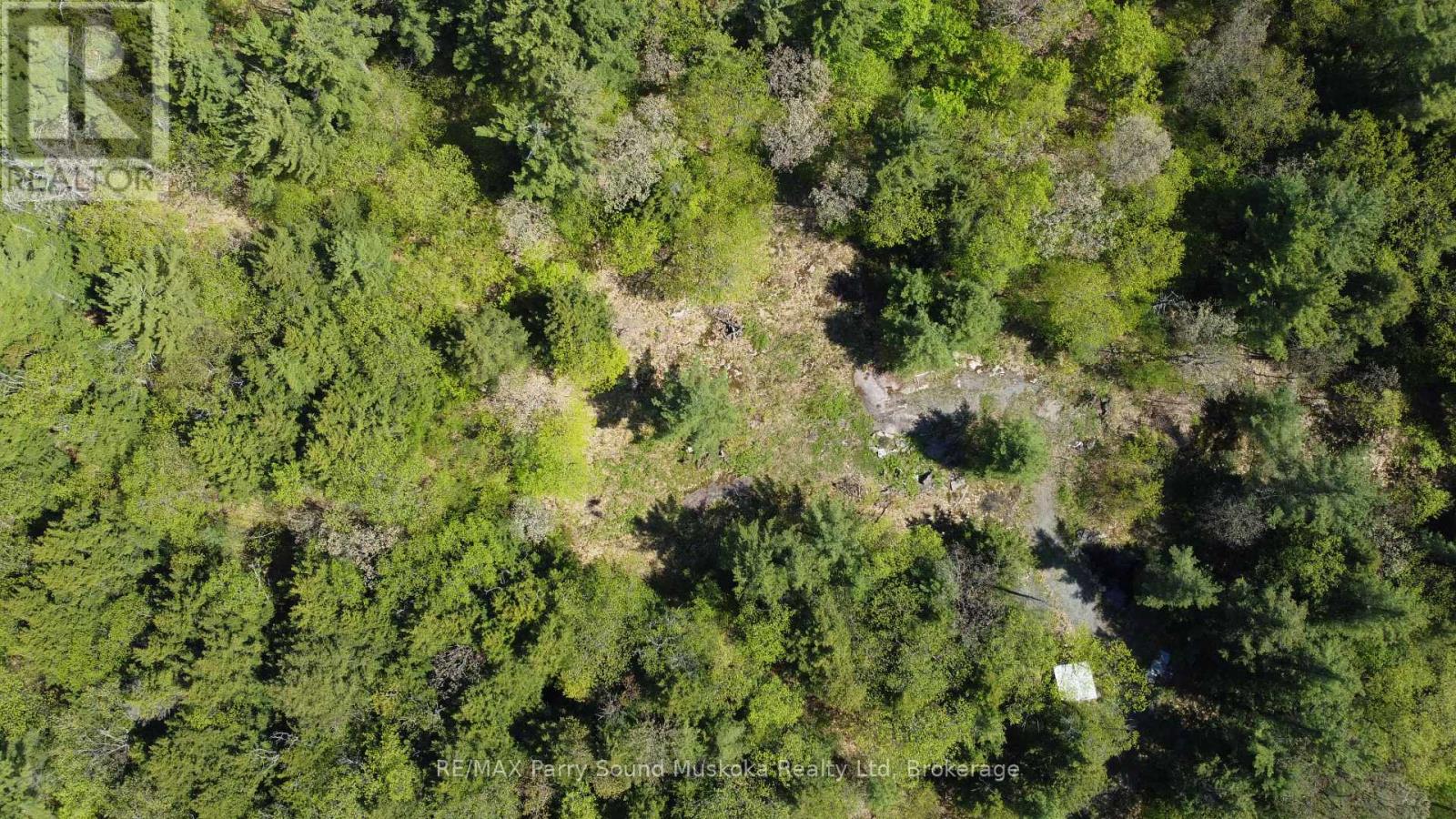 175 North Sandy Plains Road, Seguin, Ontario P2A 2W8 - Photo 10 - X13482340