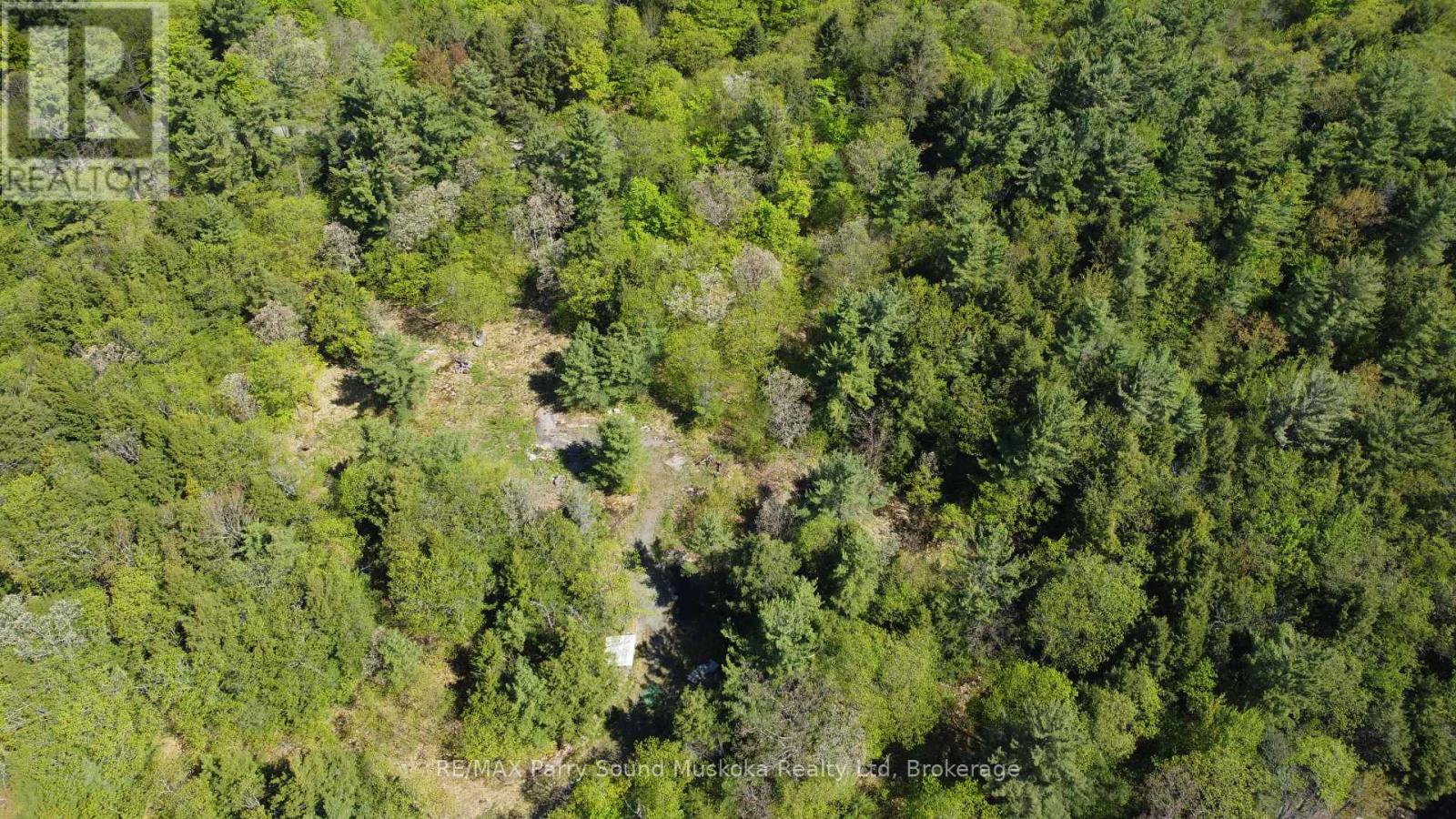 175 North Sandy Plains Road, Seguin, Ontario P2A 2W8 - Photo 11 - X13482340