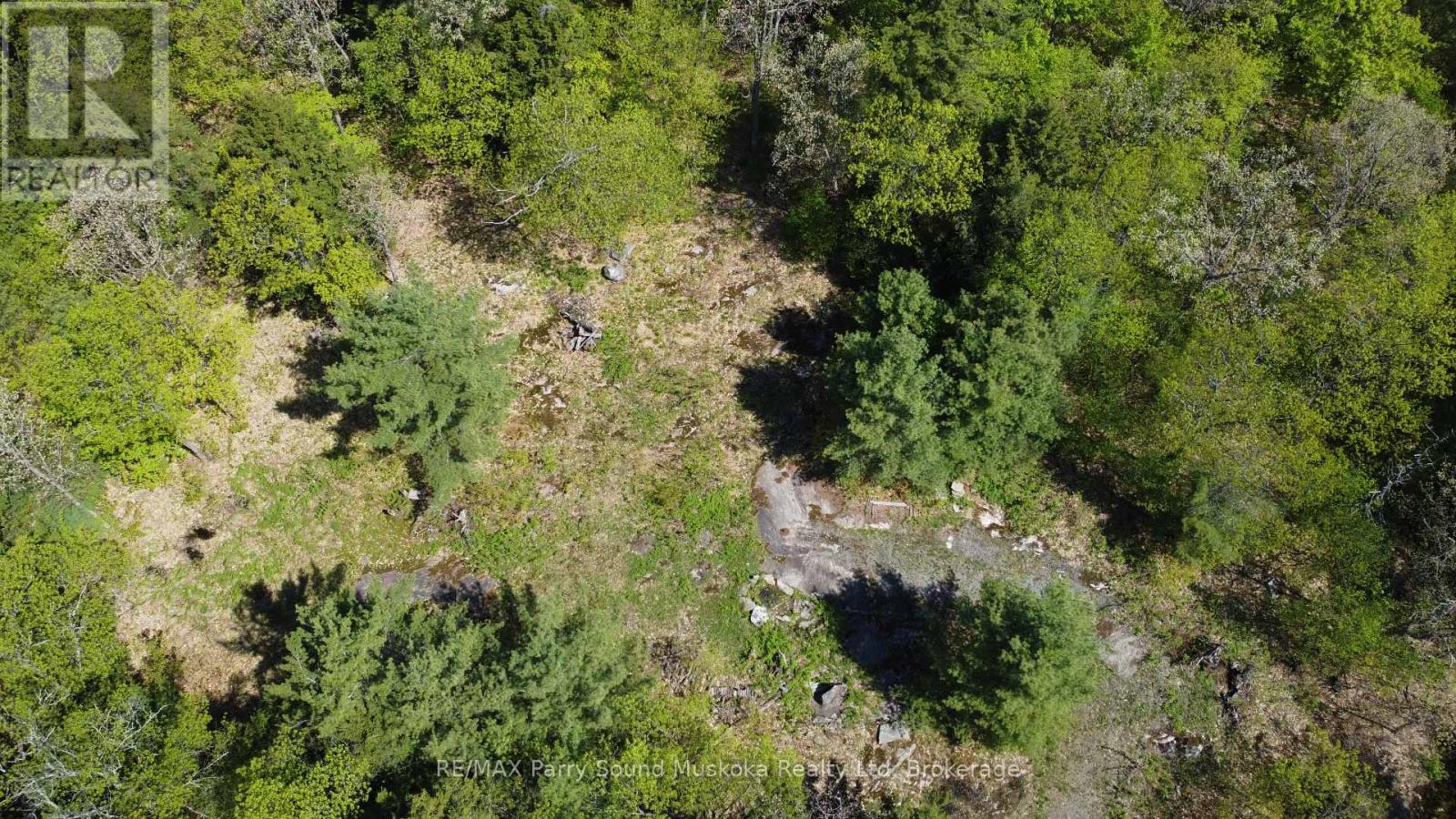 175 North Sandy Plains Road, Seguin, Ontario P2A 2W8 - Photo 18 - X13482340