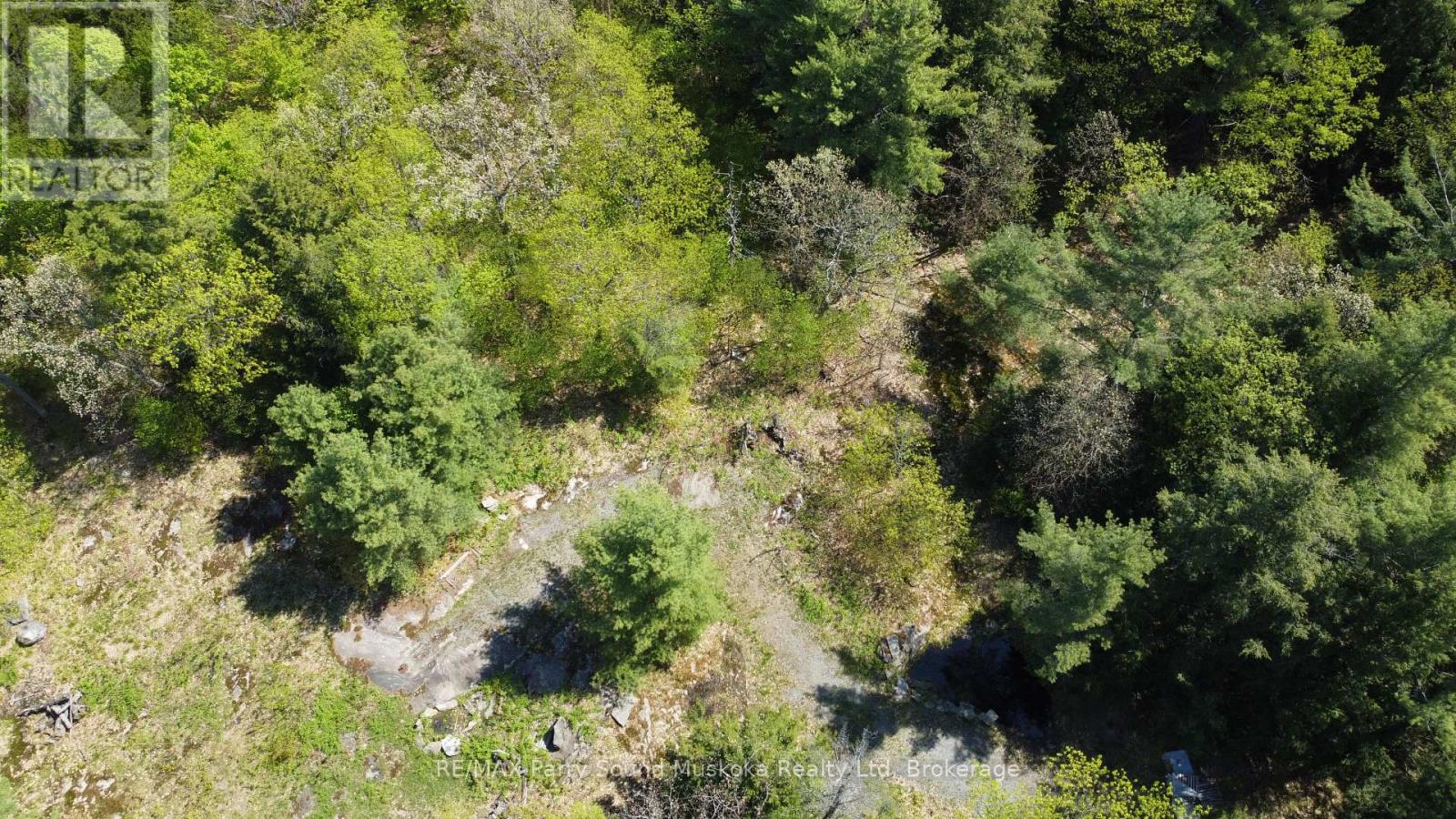175 North Sandy Plains Road, Seguin, Ontario P2A 2W8 - Photo 19 - X13482340
