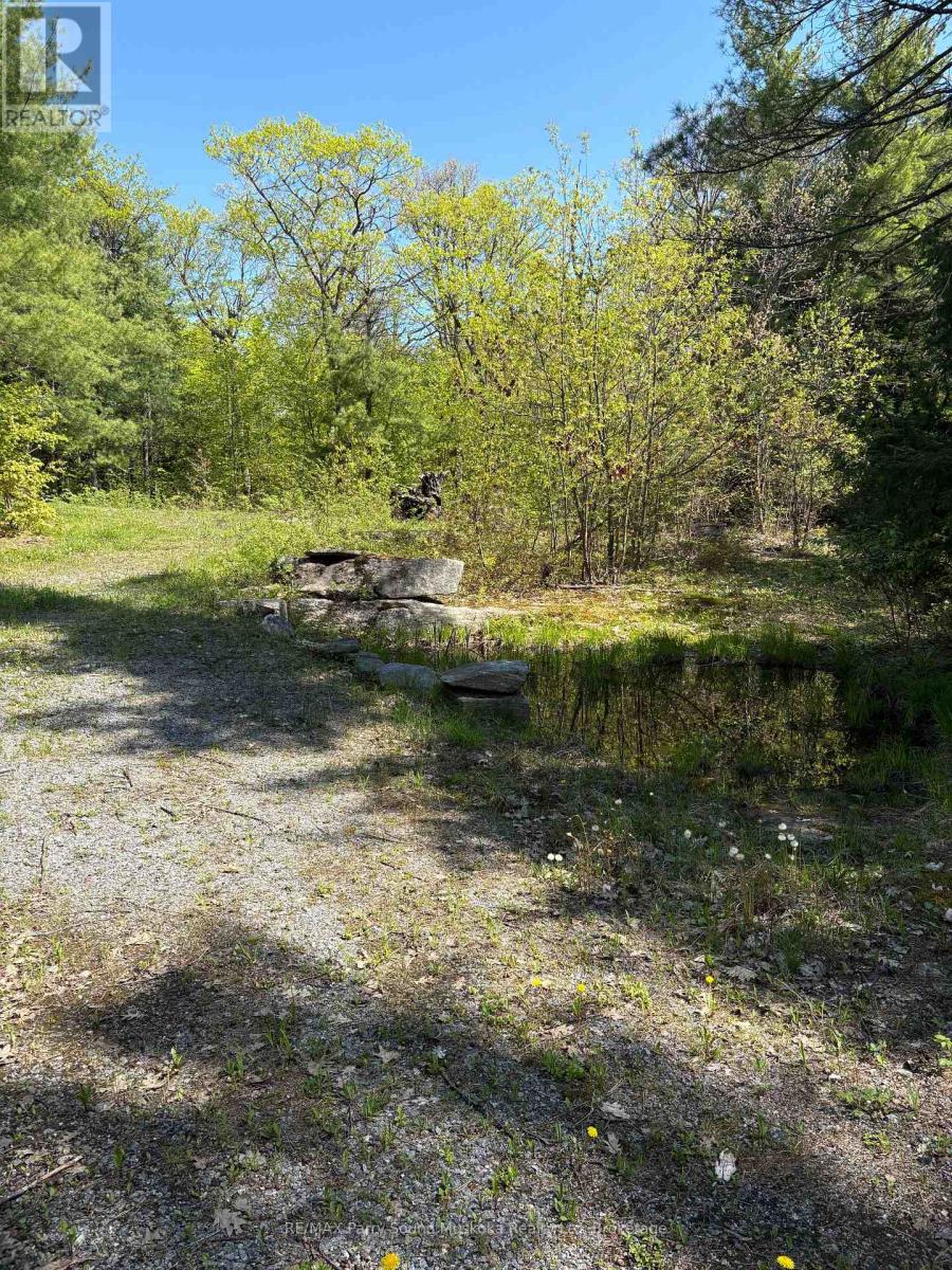 175 North Sandy Plains Road, Seguin, Ontario P2A 2W8 - Photo 2 - X13482340