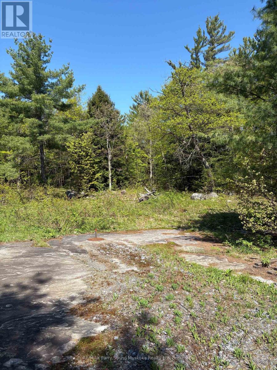 175 North Sandy Plains Road, Seguin, Ontario P2A 2W8 - Photo 4 - X13482340
