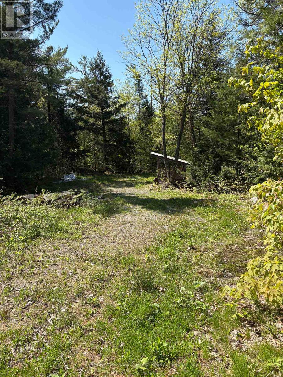 175 North Sandy Plains Road, Seguin, Ontario P2A 2W8 - Photo 5 - X13482340