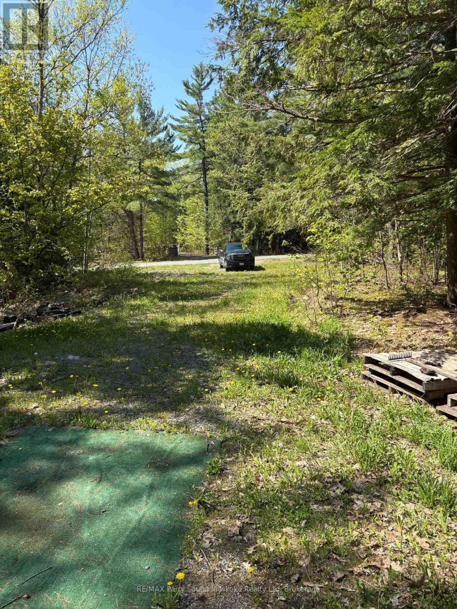 175 North Sandy Plains Road, Seguin, Ontario P2A 2W8 - Photo 6 - X13482340