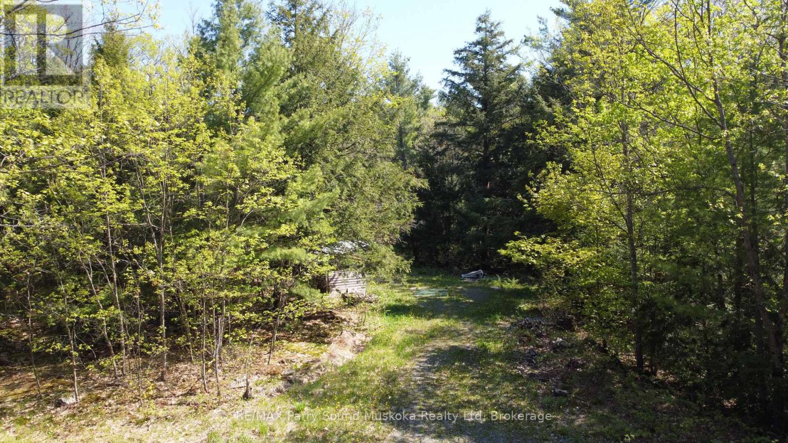 175 North Sandy Plains Road, Seguin, Ontario P2A 2W8 - Photo 7 - X13482340