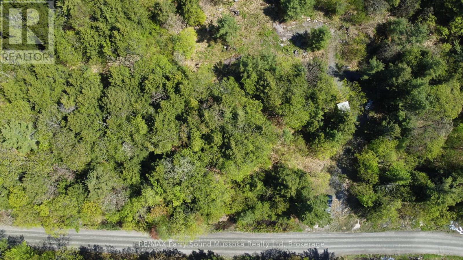 175 North Sandy Plains Road, Seguin, Ontario P2A 2W8 - Photo 9 - X13482340