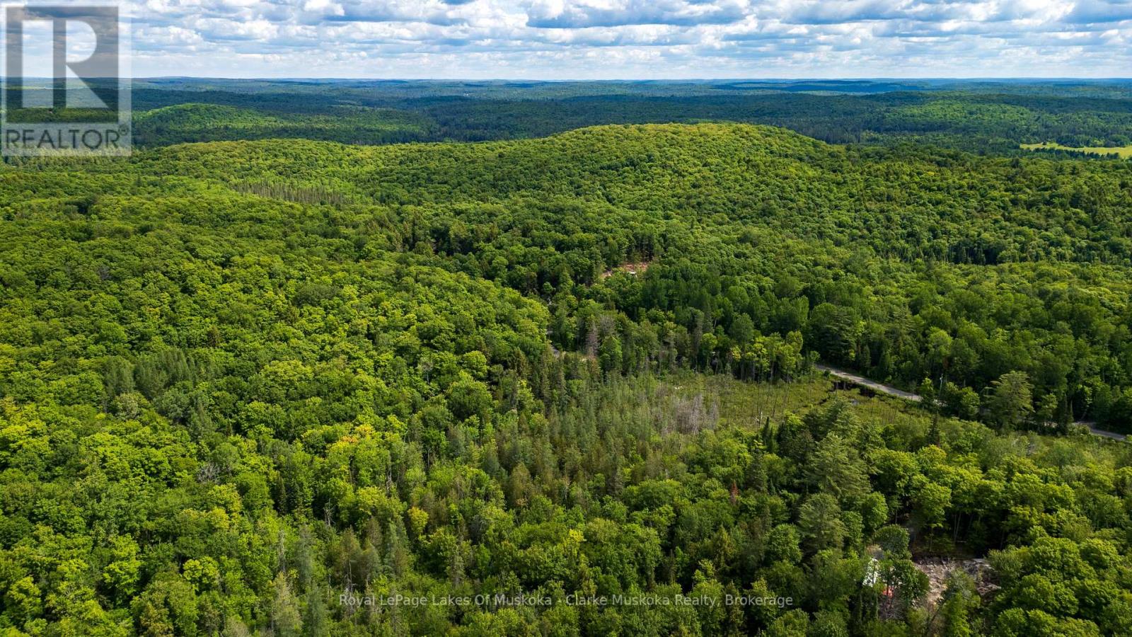 344 North Fox Lake Road, Huntsville, Ontario P1H 2J2 - Photo 11 - X13485472