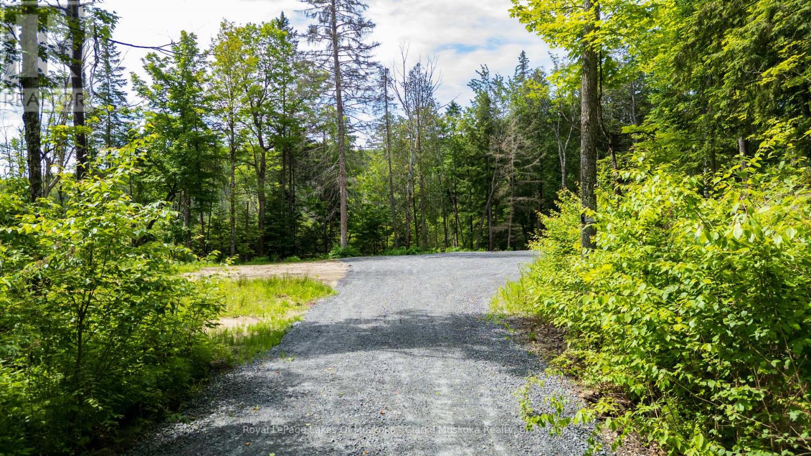 344 North Fox Lake Road, Huntsville, Ontario P1H 2J2 - Photo 4 - X13485472