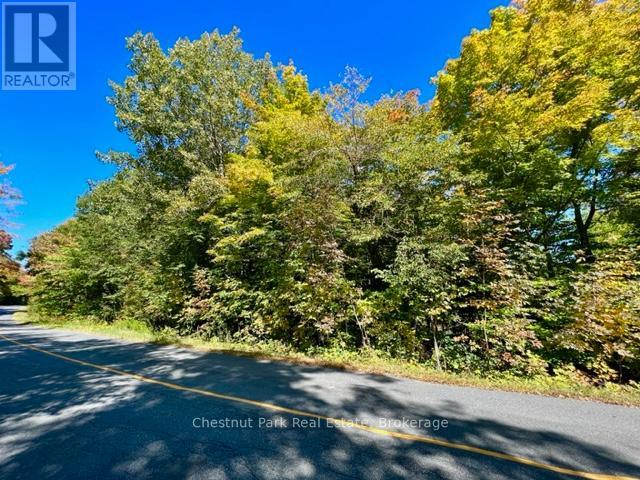 0 Acton Island Road, Muskoka Lakes, Ontario  P0B 1J0 - Photo 7 - X13488426