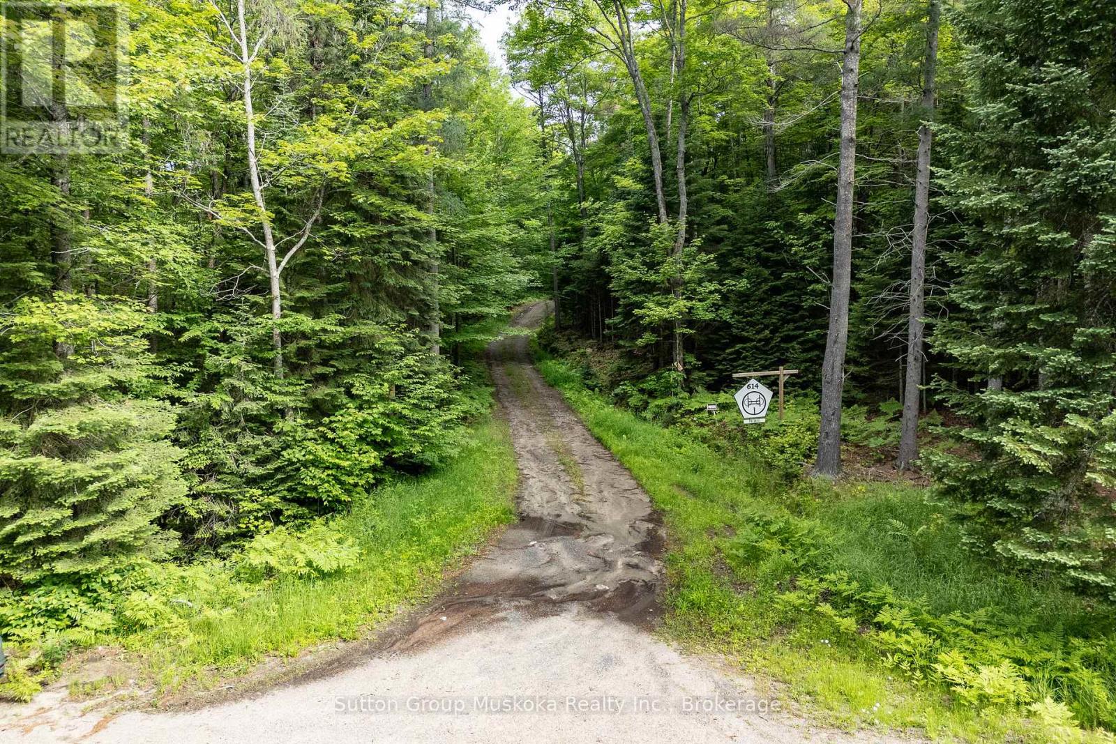 614 Britannia Road, Huntsville, Ontario  P1H 2J3 - Photo 1 - X13488872