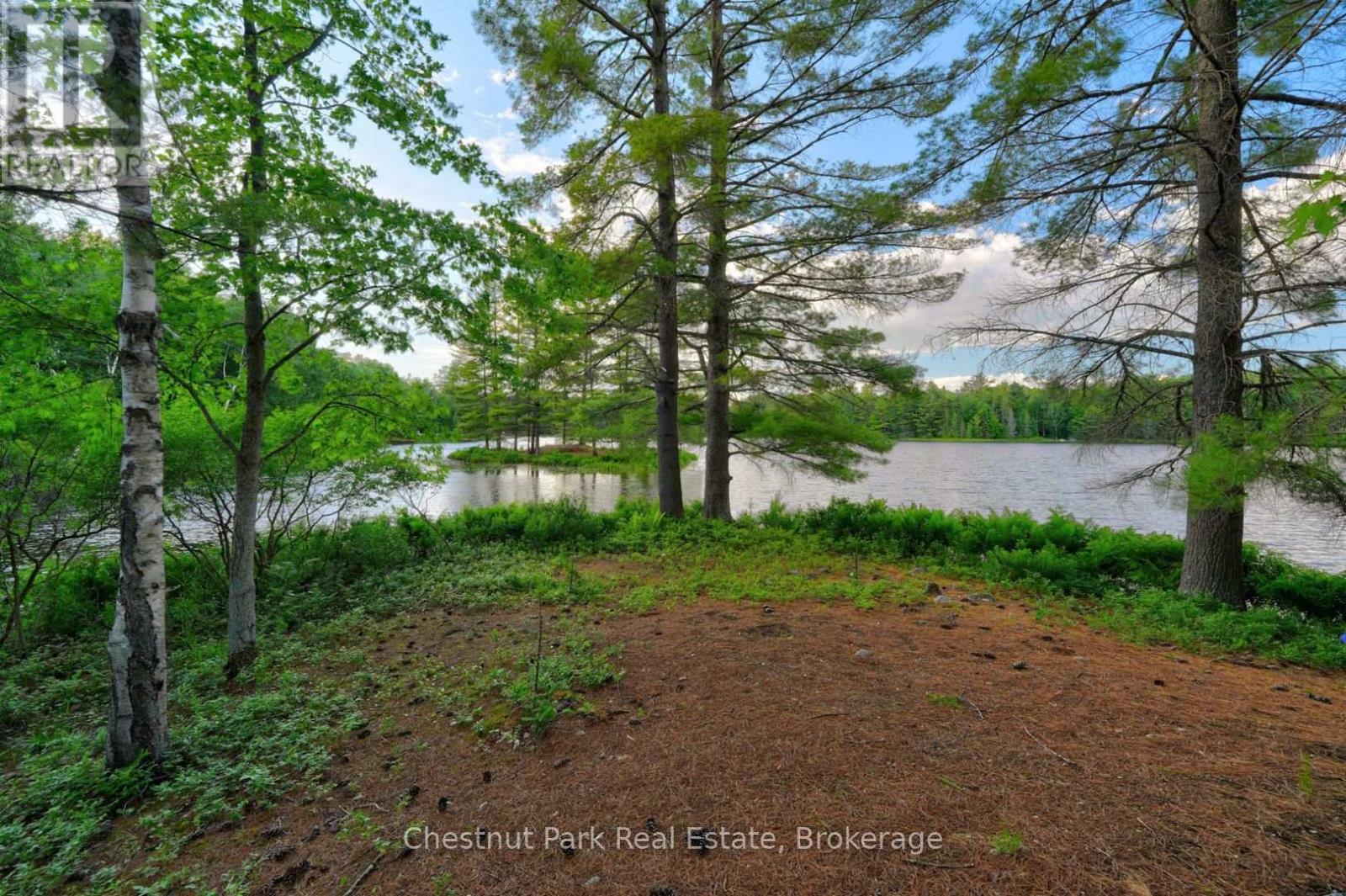 507 North Waseosa Lake Road, Huntsville, Ontario  P1H 2J4 - Photo 45 - X13489300