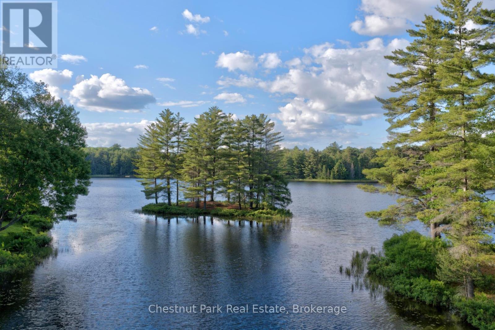 507 North Waseosa Lake Road, Huntsville, Ontario  P1H 2J4 - Photo 46 - X13489300