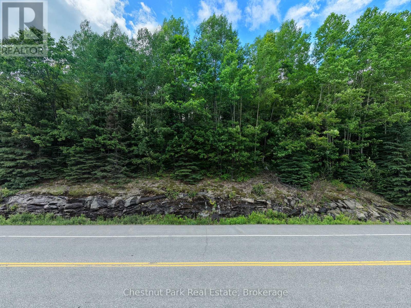 0 Highway 60 Highway, Lake Of Bays, Ontario  P0A 1H0 - Photo 6 - X13492290