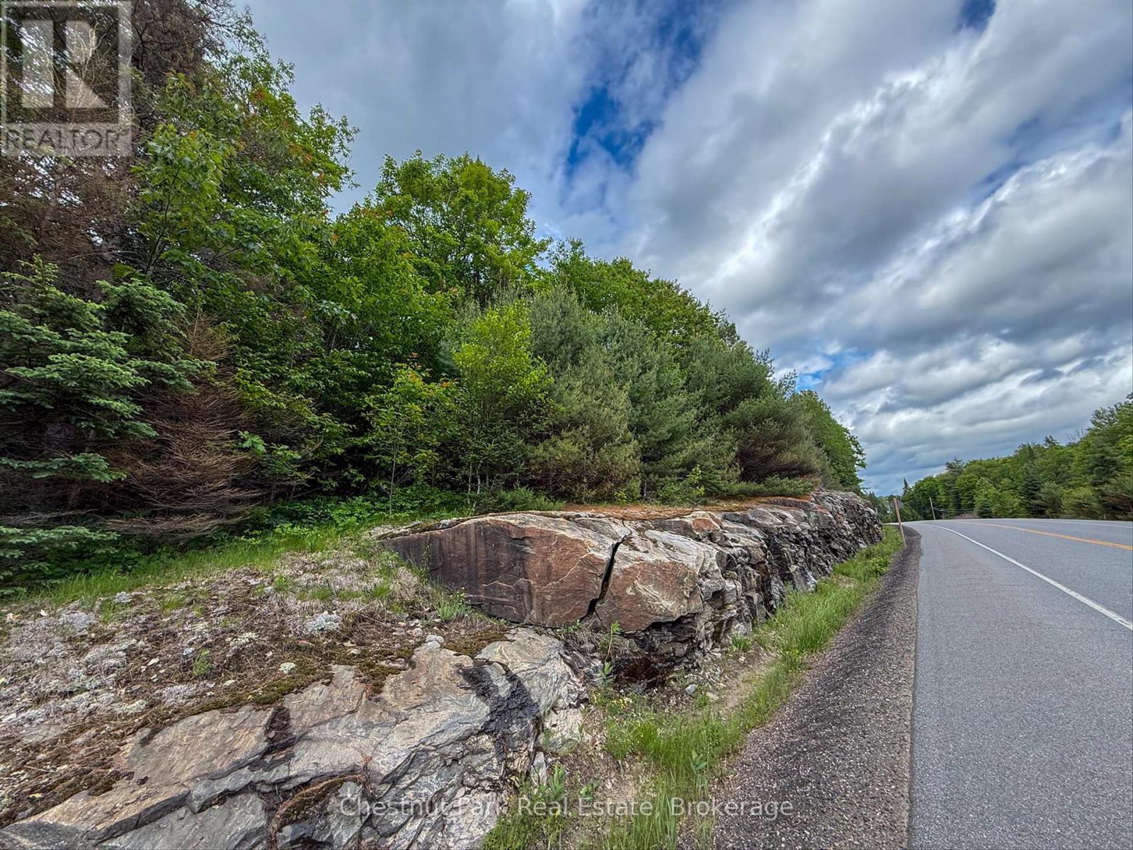 0 Highway 60 Highway, Lake Of Bays, Ontario  P0A 1H0 - Photo 7 - X13492290