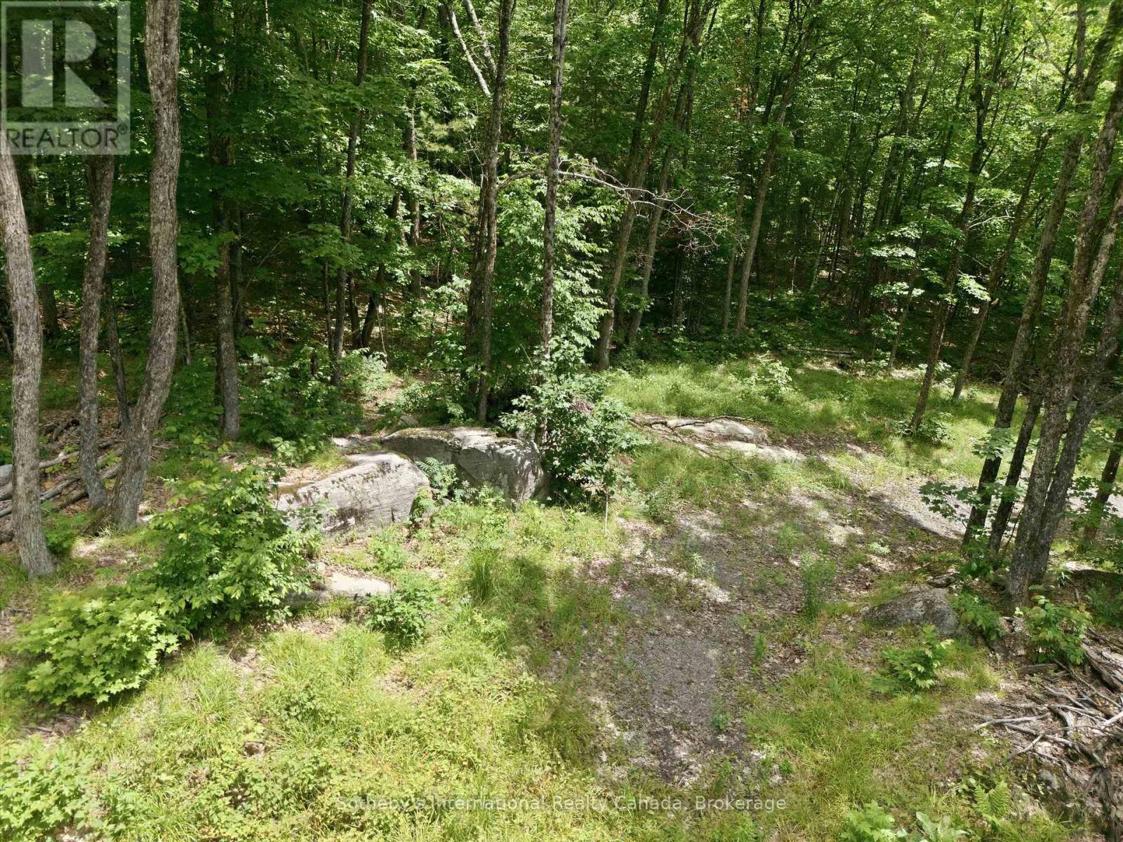 1731 Fraserburg Road, Bracebridge, Ontario P1L 1X3 - Photo 11 - X13493044