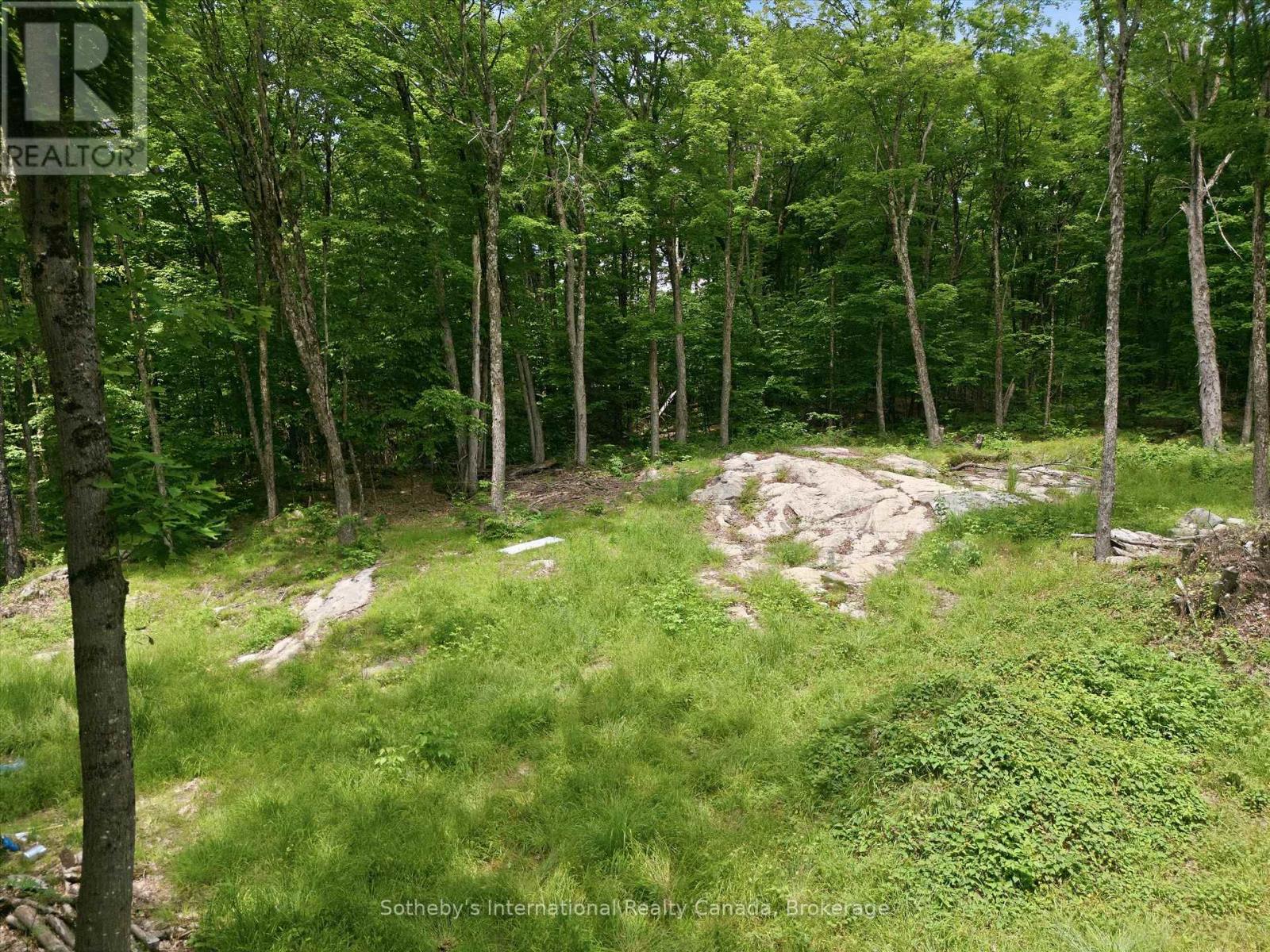1731 Fraserburg Road, Bracebridge, Ontario P1L 1X3 - Photo 14 - X13493044