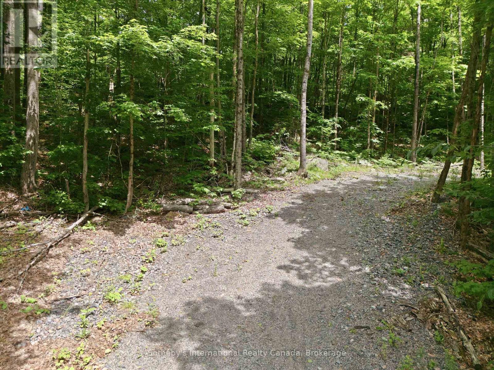 1731 Fraserburg Road, Bracebridge, Ontario P1L 1X3 - Photo 4 - X13493044