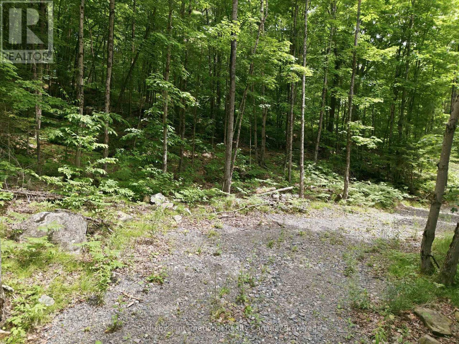 1731 Fraserburg Road, Bracebridge, Ontario P1L 1X3 - Photo 6 - X13493044