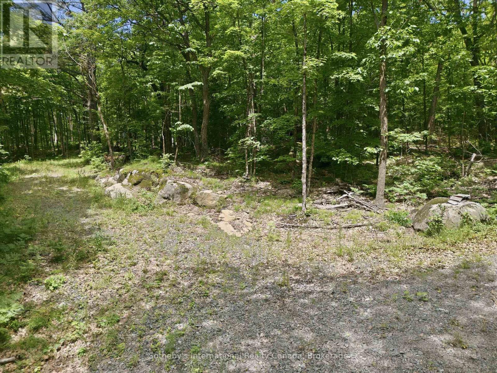 1731 Fraserburg Road, Bracebridge, Ontario P1L 1X3 - Photo 8 - X13493044