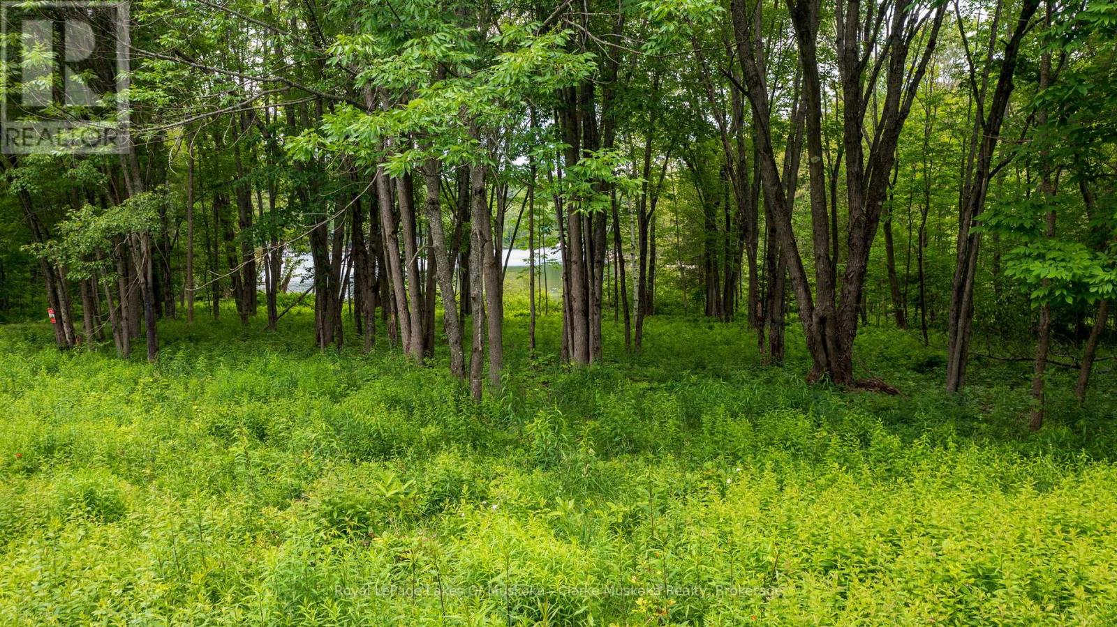 0 Maplehurst Road, Seguin, Ontario  P0C 1J0 - Photo 10 - X13494110