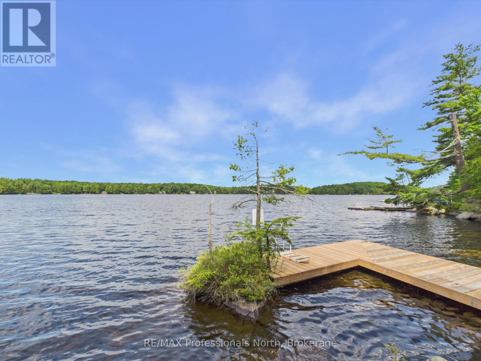1007 Leech Lake Point Road, Bracebridge, Ontario  P1L 1X3 - Photo 15 - X13494178