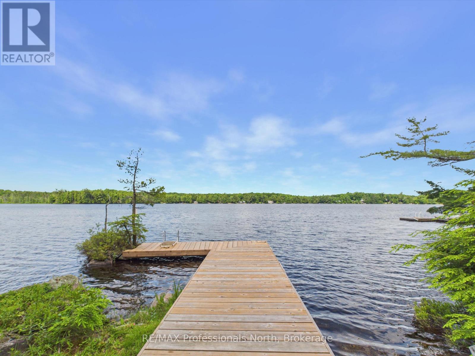 1007 Leech Lake Point Road, Bracebridge, Ontario  P1L 1X3 - Photo 16 - X13494178