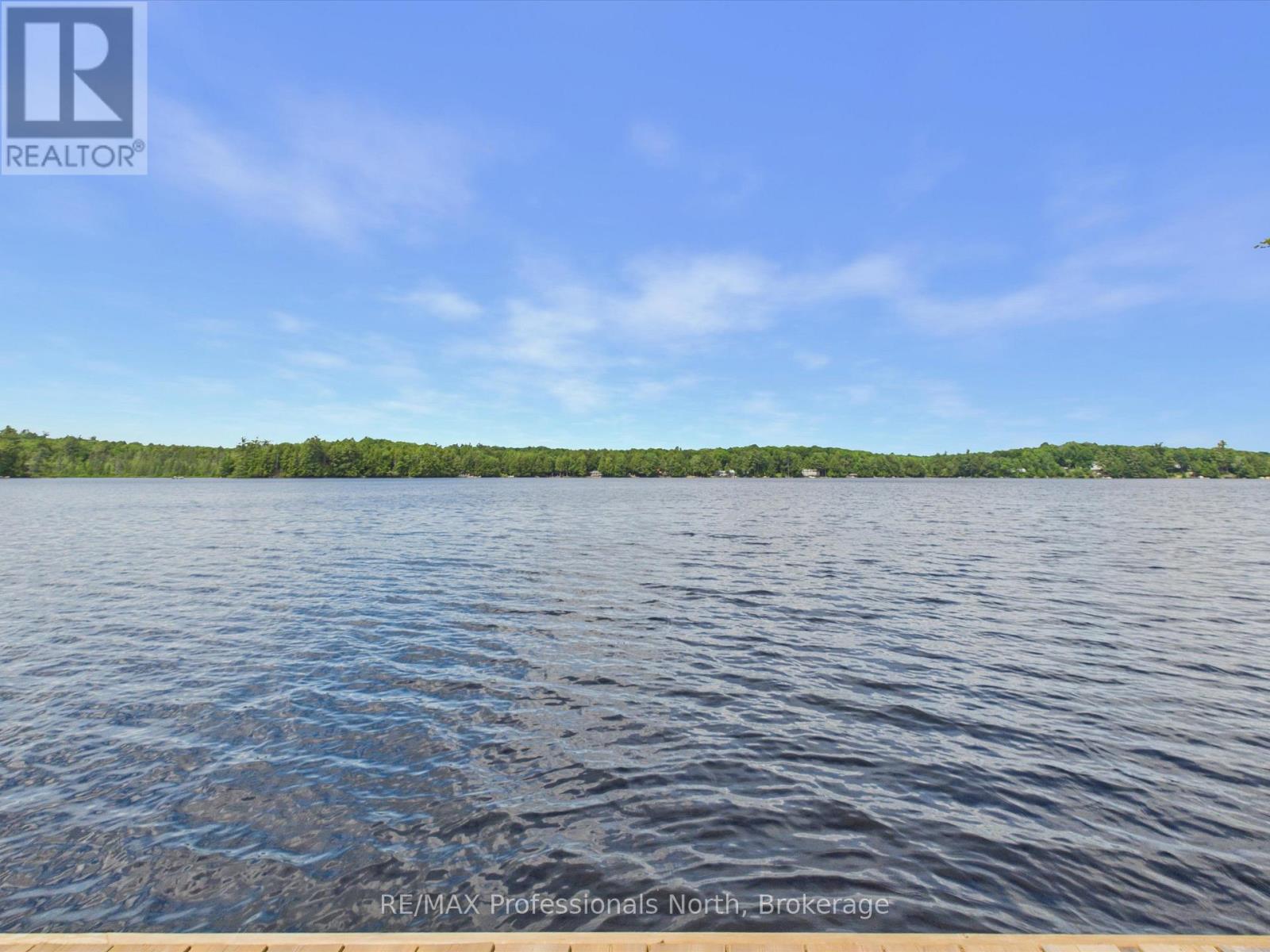 1007 Leech Lake Point Road, Bracebridge, Ontario  P1L 1X3 - Photo 17 - X13494178