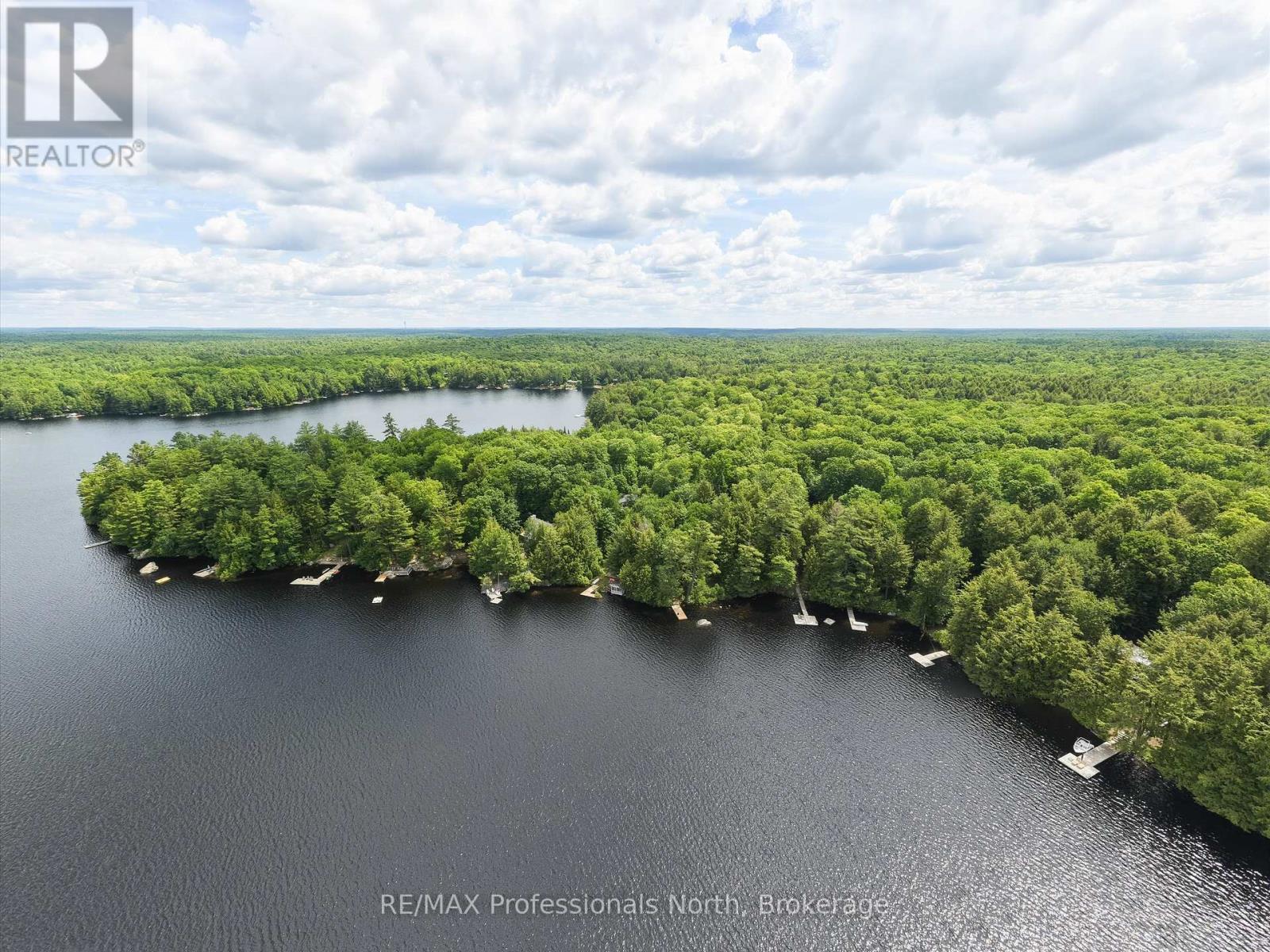 1007 Leech Lake Point Road, Bracebridge, Ontario  P1L 1X3 - Photo 35 - X13494178