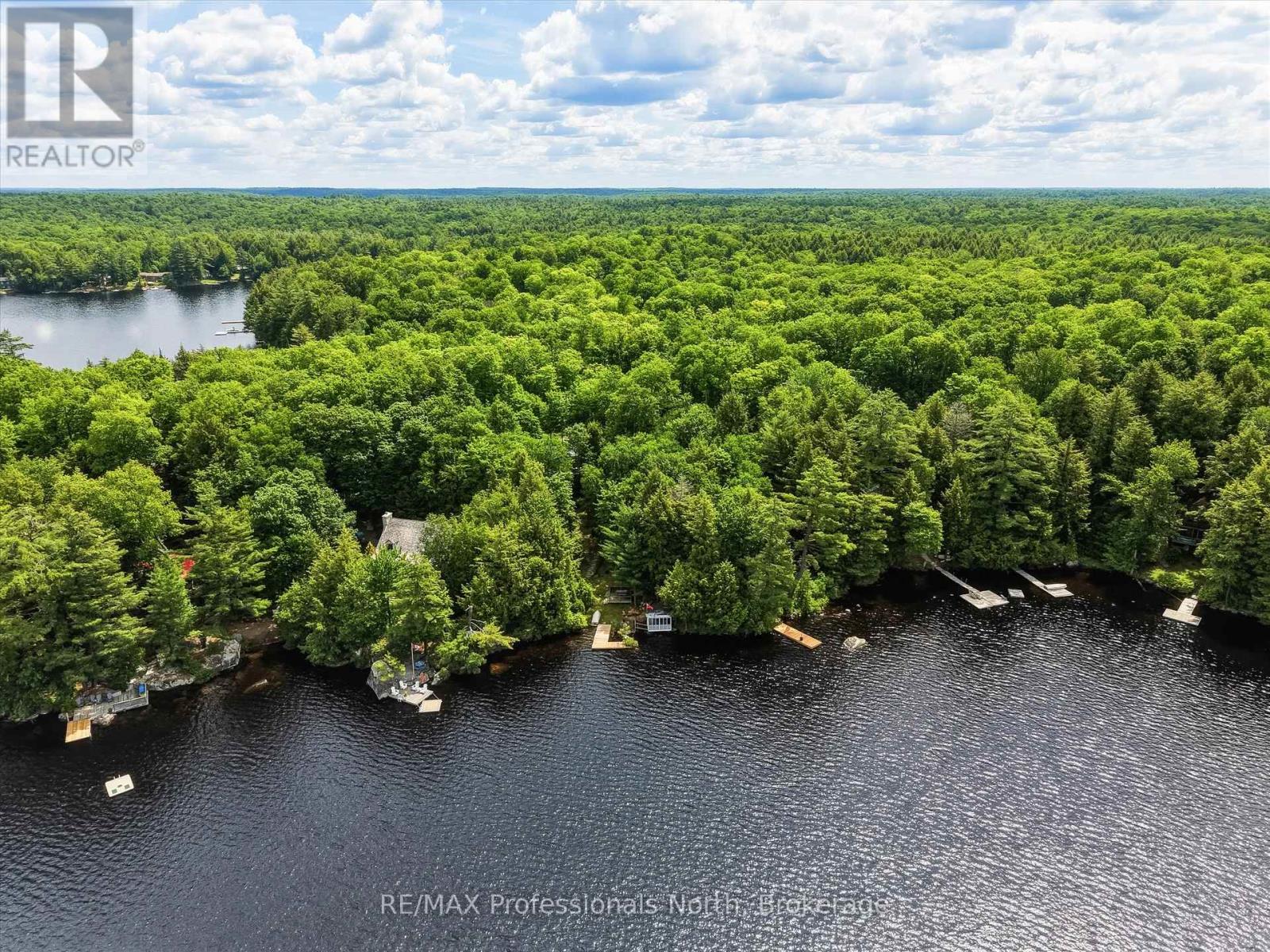 1007 Leech Lake Point Road, Bracebridge, Ontario  P1L 1X3 - Photo 38 - X13494178