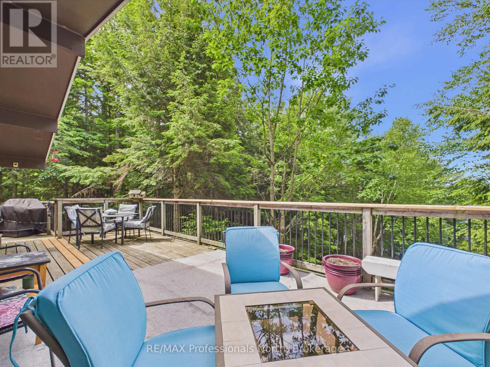 1007 Leech Lake Point Road, Bracebridge, Ontario  P1L 1X3 - Photo 6 - X13494178