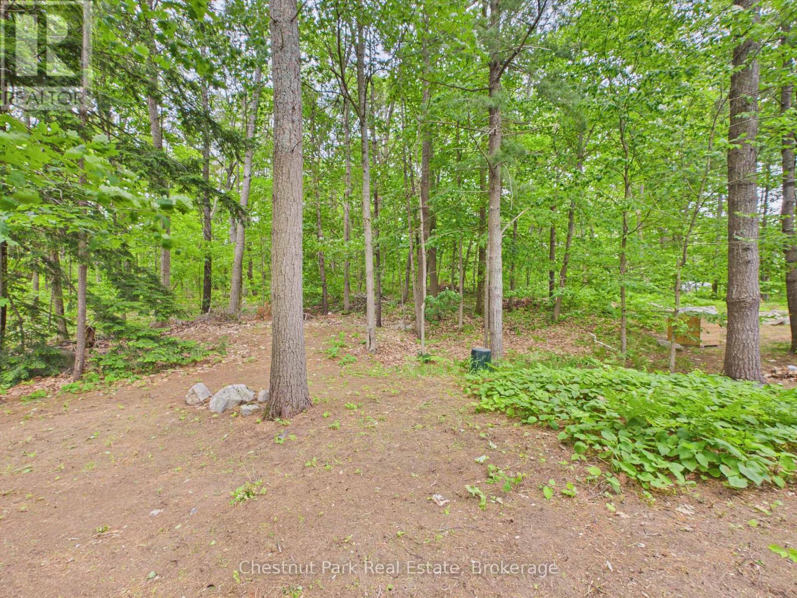 51 Taylor Island, Gravenhurst, Ontario P1P 1R2 - Photo 38 - X13494674