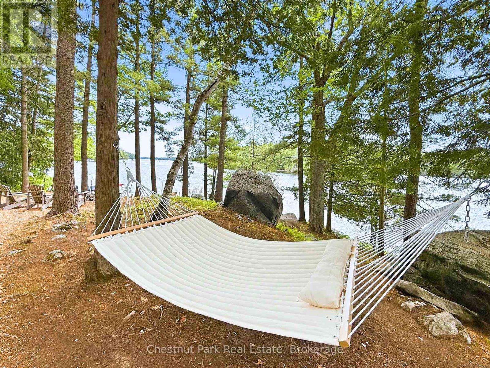 51 Taylor Island, Gravenhurst, Ontario P1P 1R2 - Photo 39 - X13494674