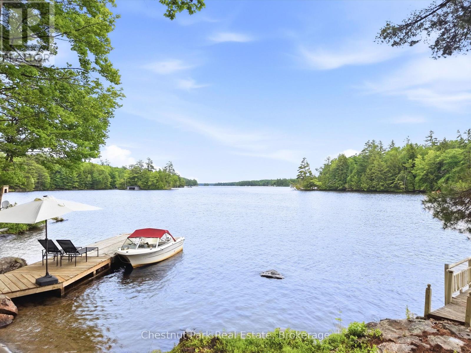 51 Taylor Island, Gravenhurst, Ontario P1P 1R2 - Photo 45 - X13494674