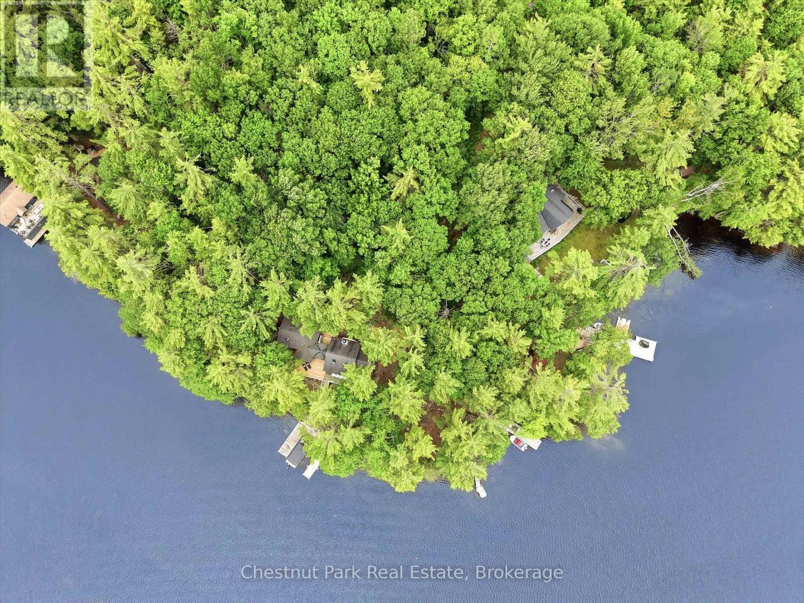 51 Taylor Island, Gravenhurst, Ontario P1P 1R2 - Photo 48 - X13494674
