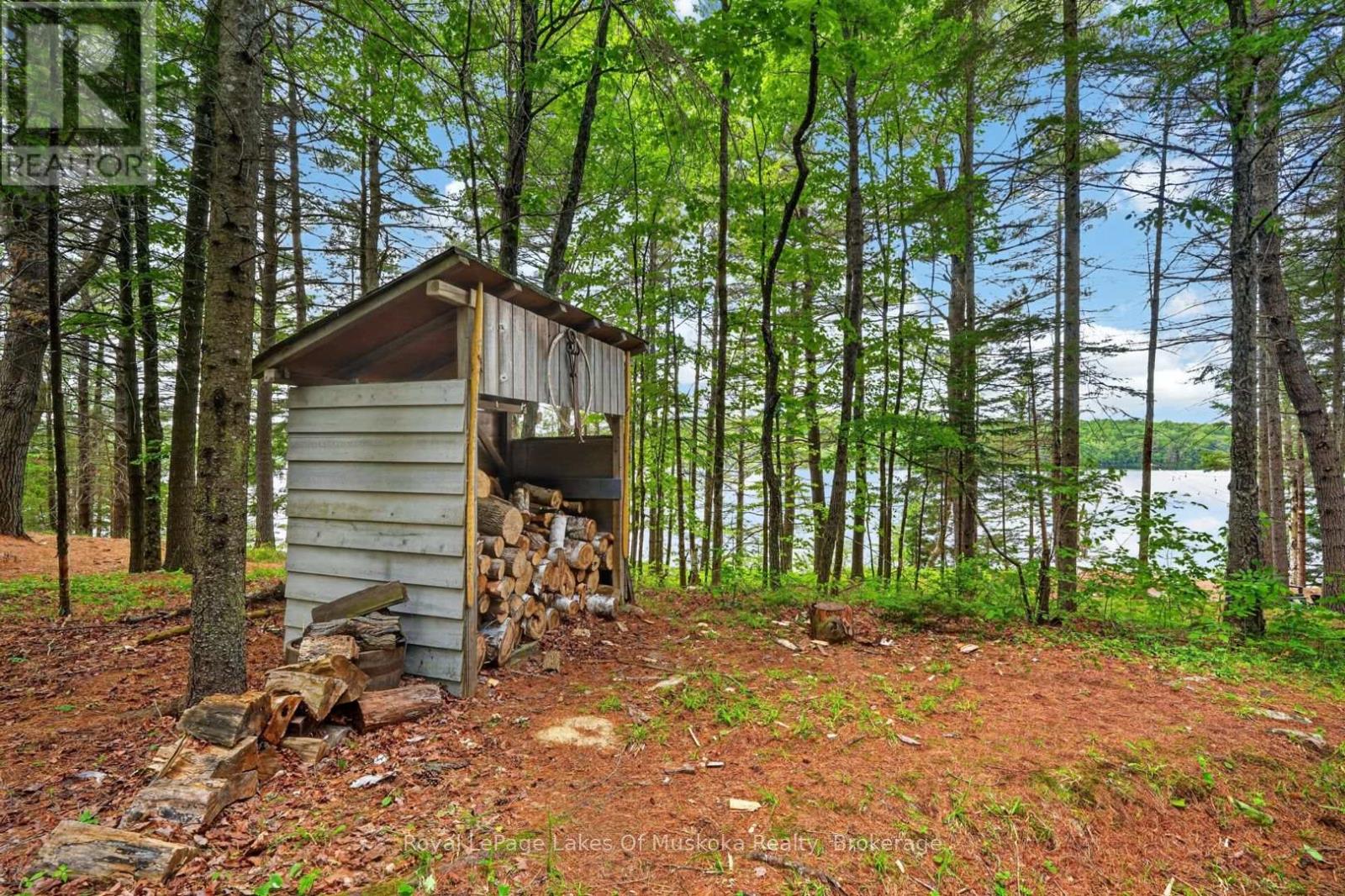 1053 East Walker Lake Drive, Lake Of Bays, Ontario P1H 2J6 - Photo 36 - X13499650