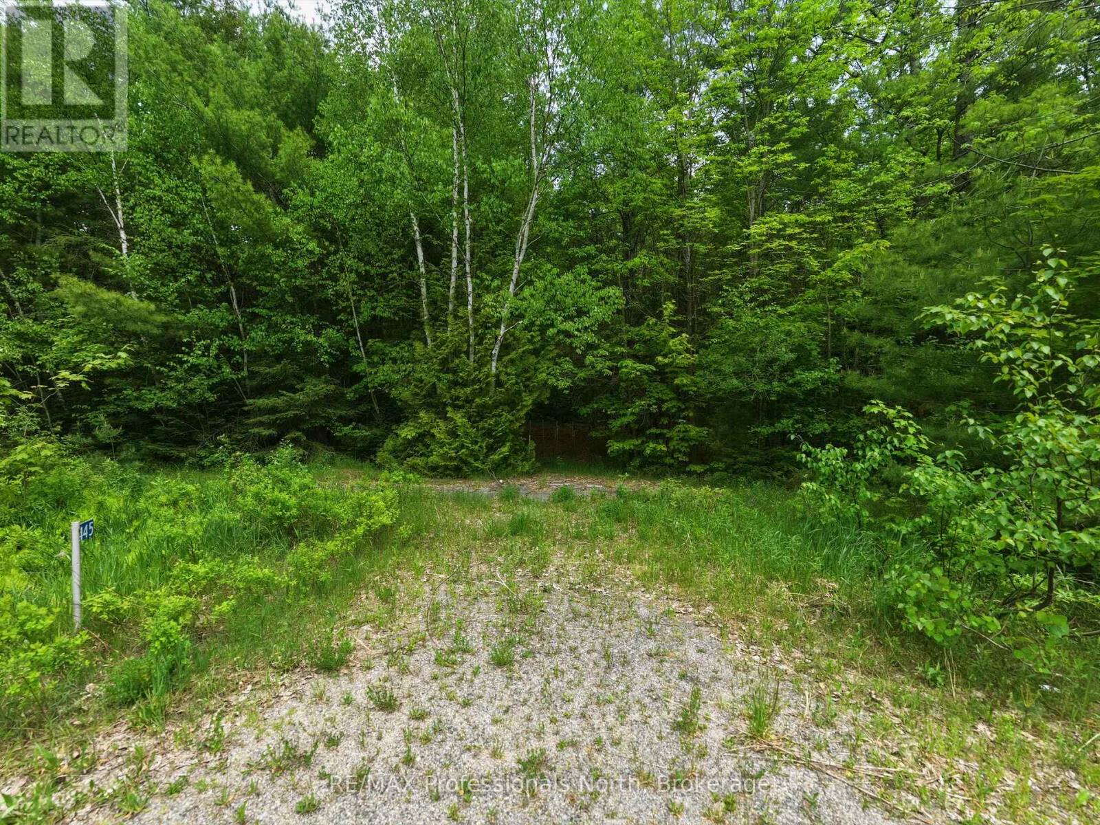2445 Manitoba Street, Bracebridge, Ontario P1L 1X4 - Photo 11 - X13505916
