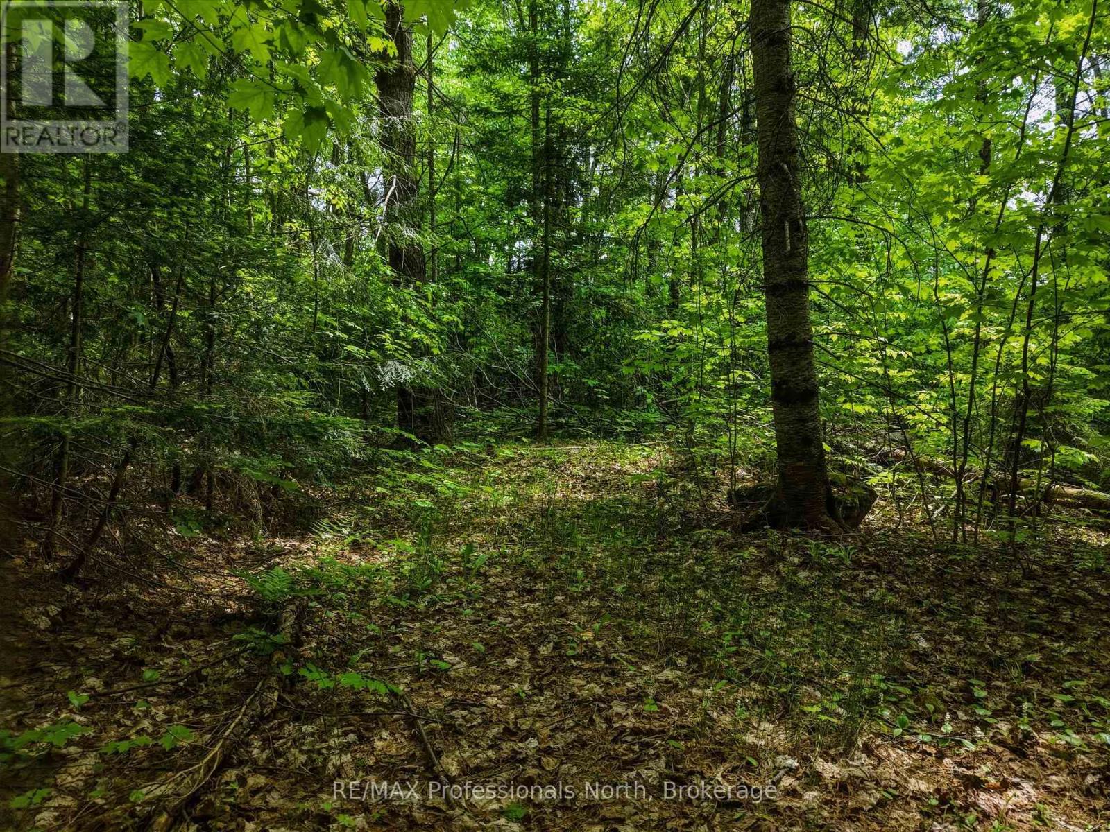 2445 Manitoba Street, Bracebridge, Ontario P1L 1X4 - Photo 6 - X13505916