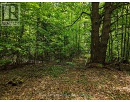 2445 MANITOBA STREET, Bracebridge, Ontario