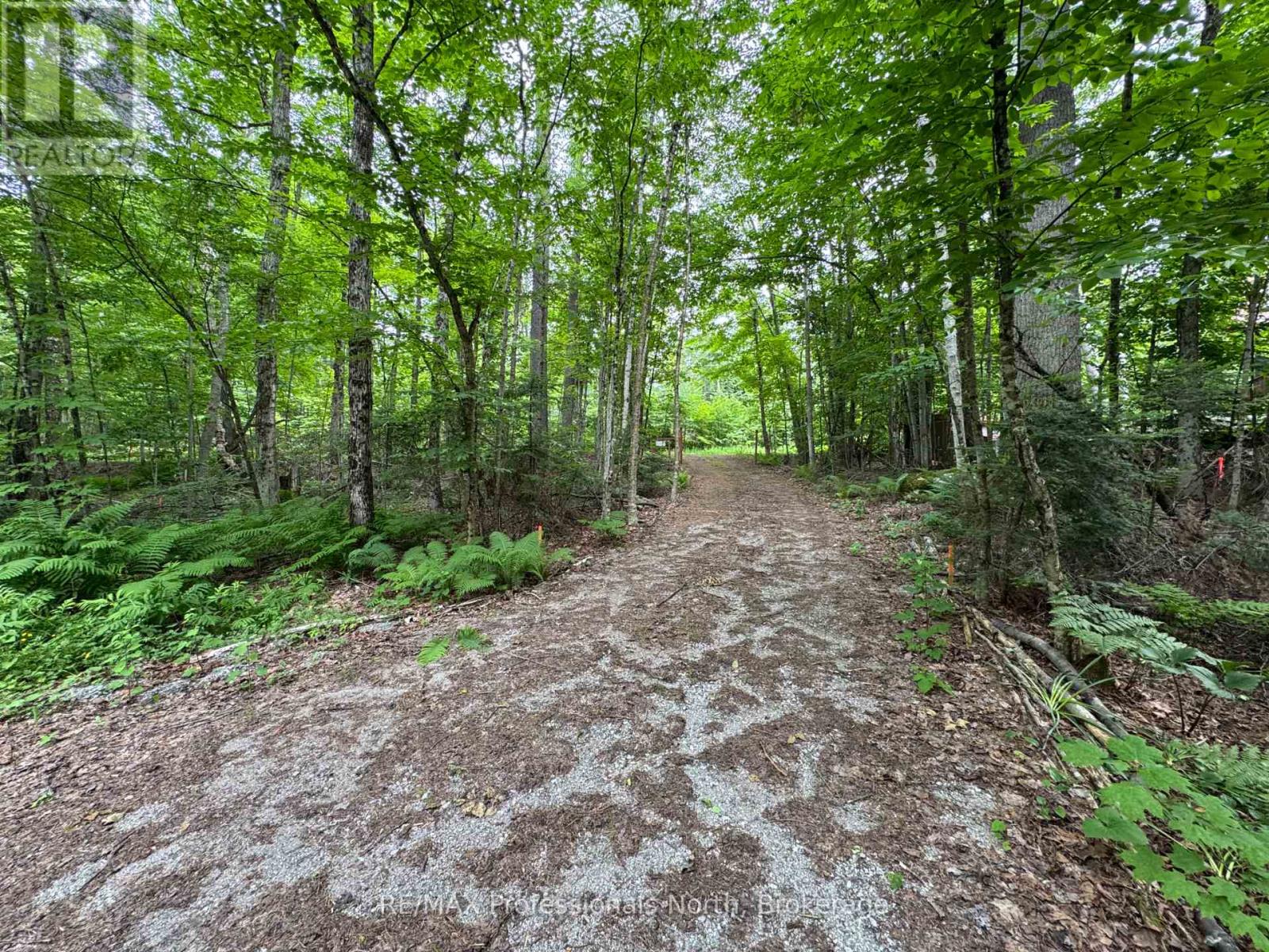 1090 River Haven Road, Bracebridge, Ontario P1L 1X1 - Photo 11 - X13509004