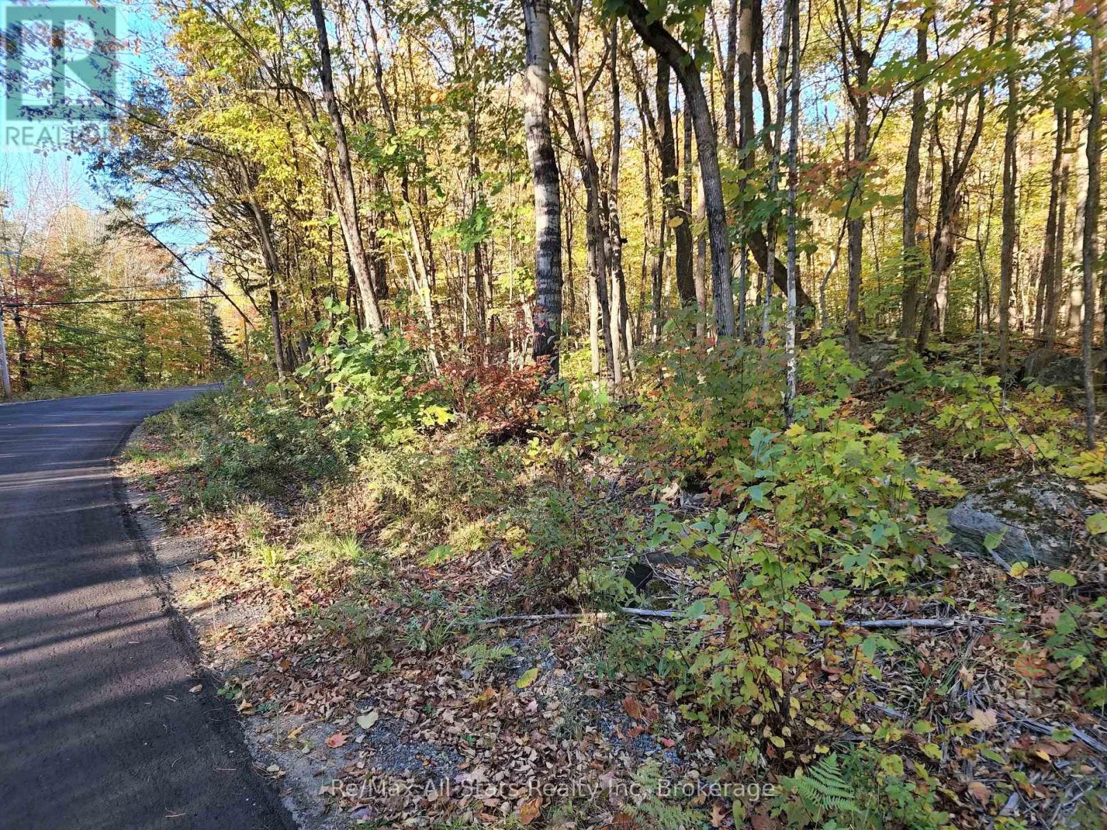 A Tally Ho Winter Park Road, Lake Of Bays, Ontario  P1H 2J6 - Photo 10 - X13509272