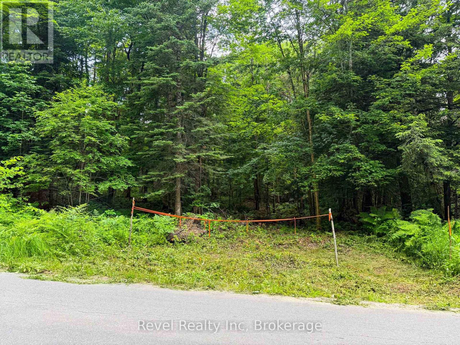 Lot 1 Bird Lake Road, Bracebridge, Ontario P1L 1X1 - Photo 2 - X13511938