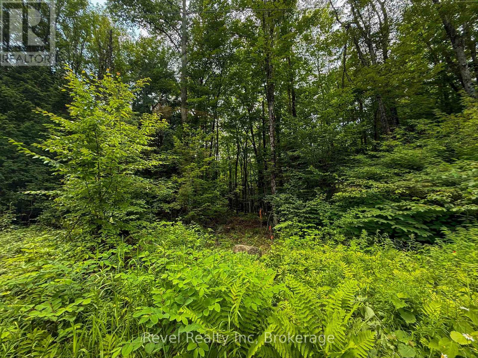 Lot 1 Bird Lake Road, Bracebridge, Ontario P1L 1X1 - Photo 4 - X13511938