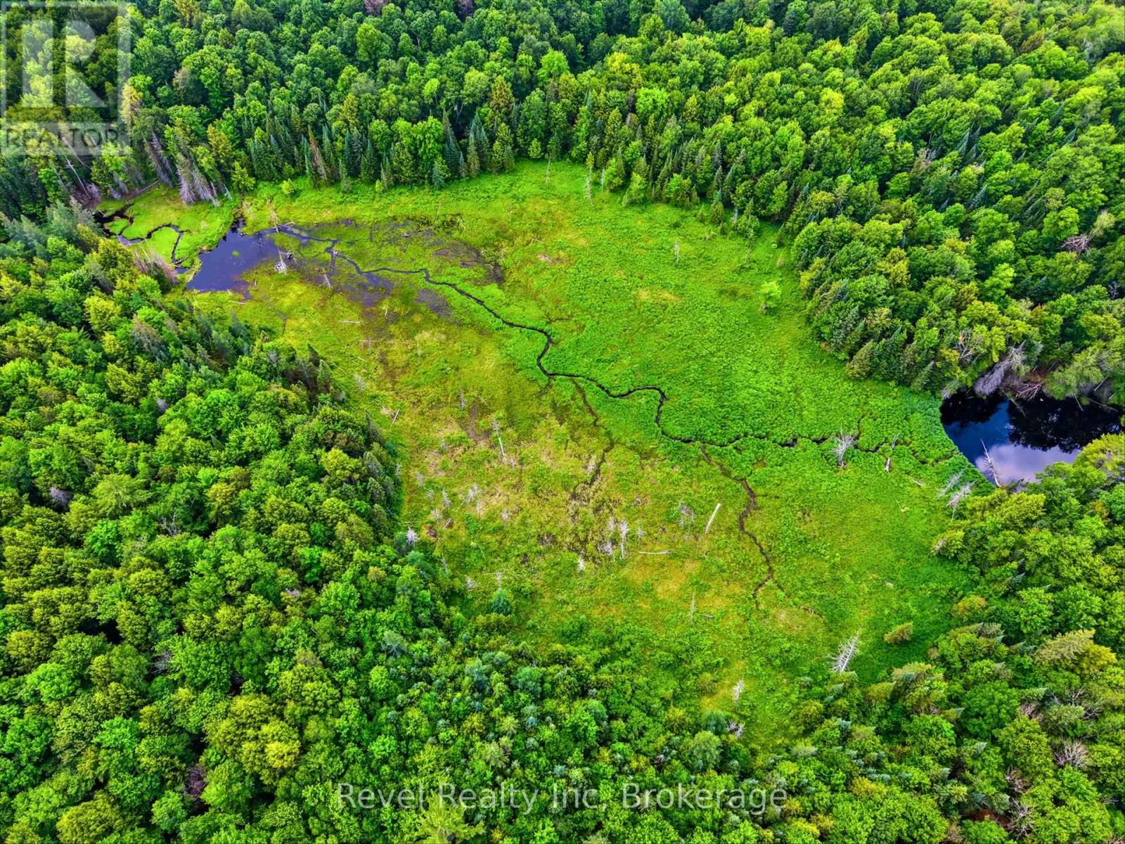 Lot 1 Bird Lake Road, Bracebridge, Ontario P1L 1X1 - Photo 6 - X13511938