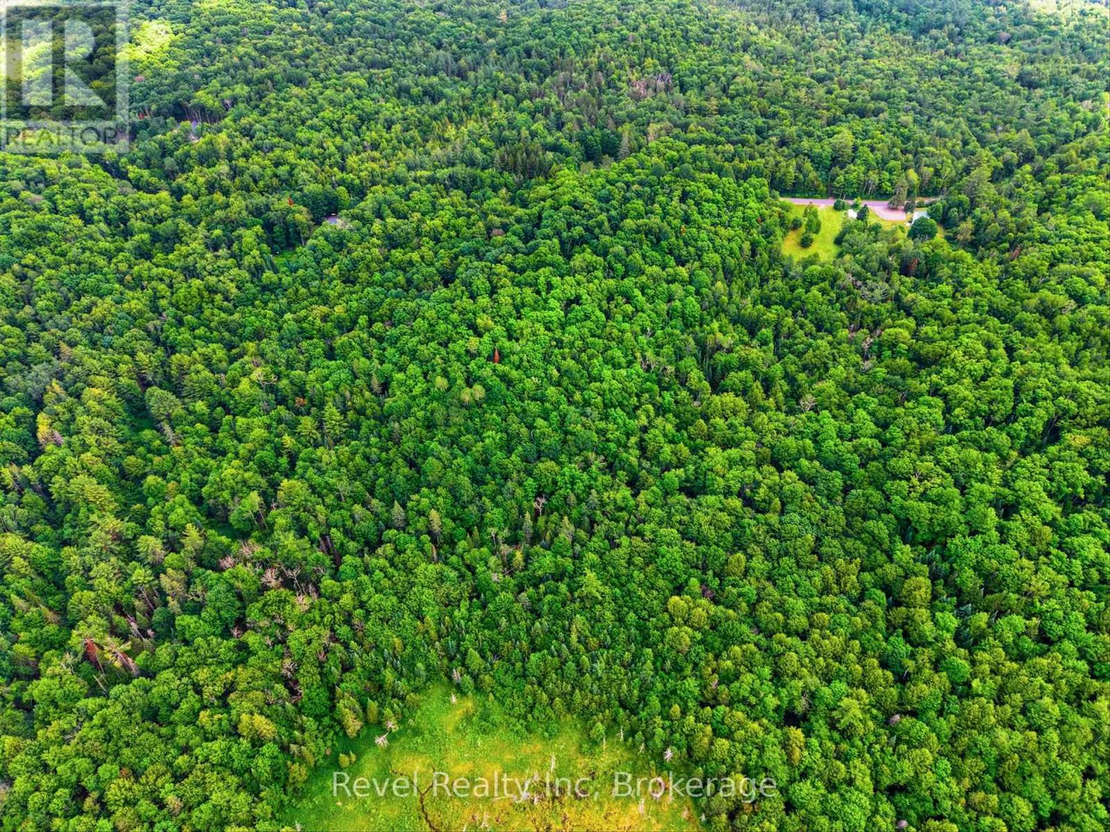 Lot 1 Bird Lake Road, Bracebridge, Ontario P1L 1X1 - Photo 7 - X13511938