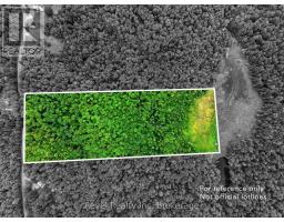 LOT 1 BIRD LAKE ROAD, Bracebridge, Ontario