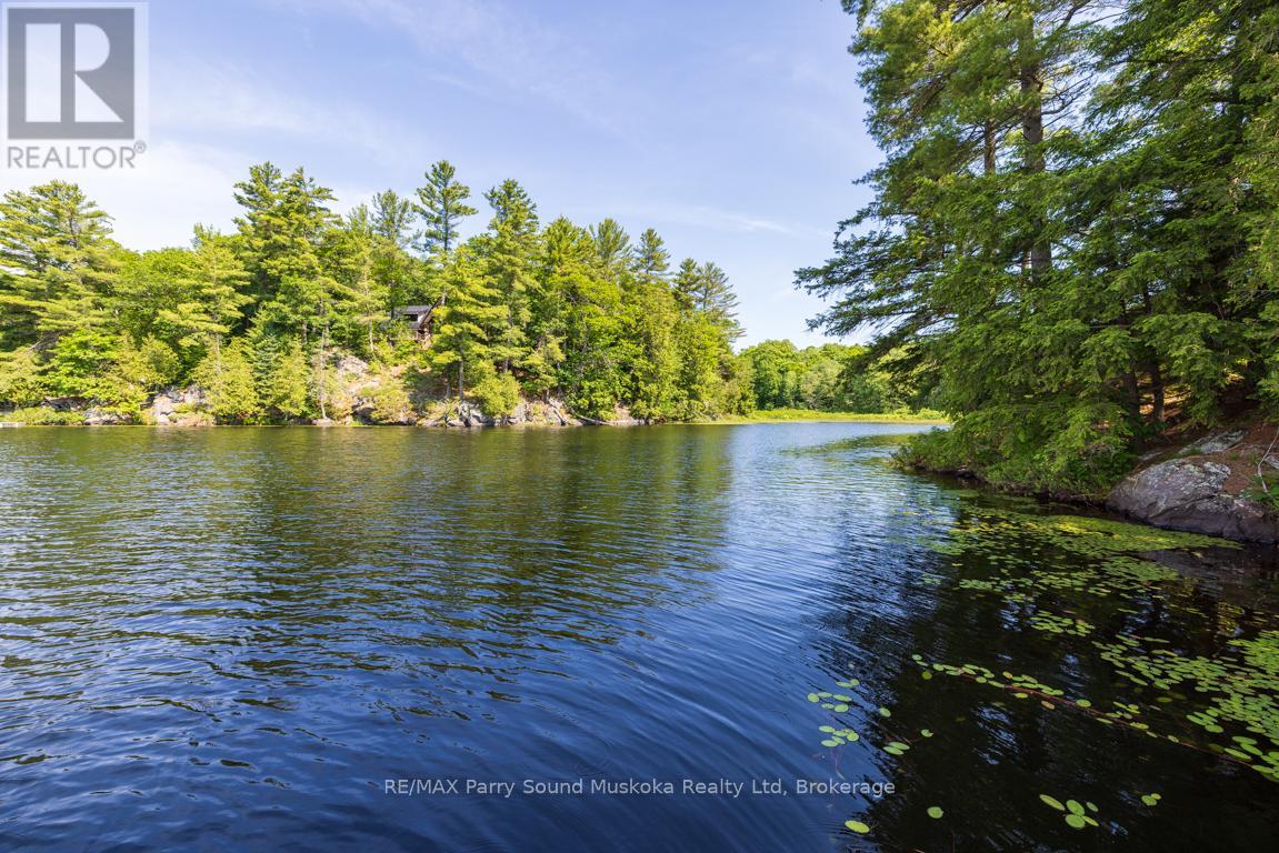 509 Horseshoe Lake, Seguin, Ontario P2A 2W8 - Photo 41 - X13513906