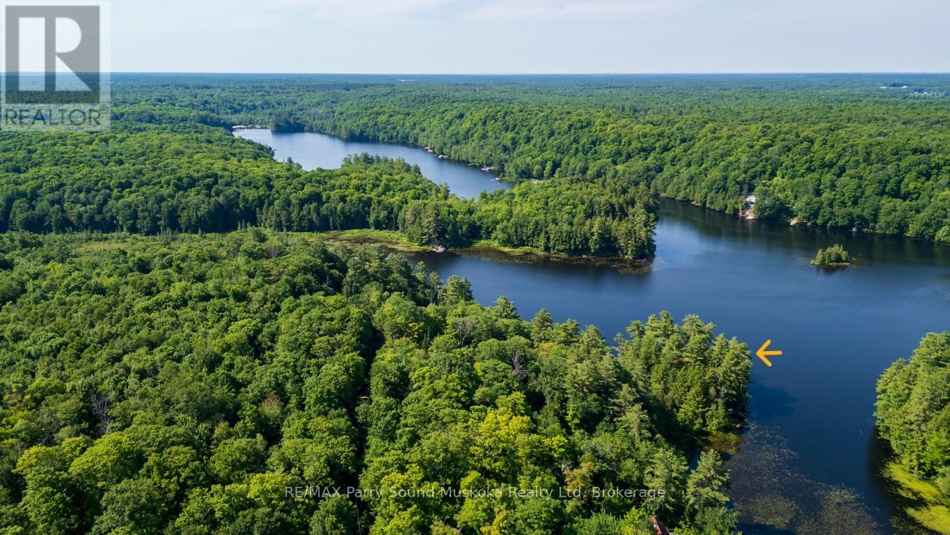 509 Horseshoe Lake, Seguin, Ontario P2A 2W8 - Photo 45 - X13513906
